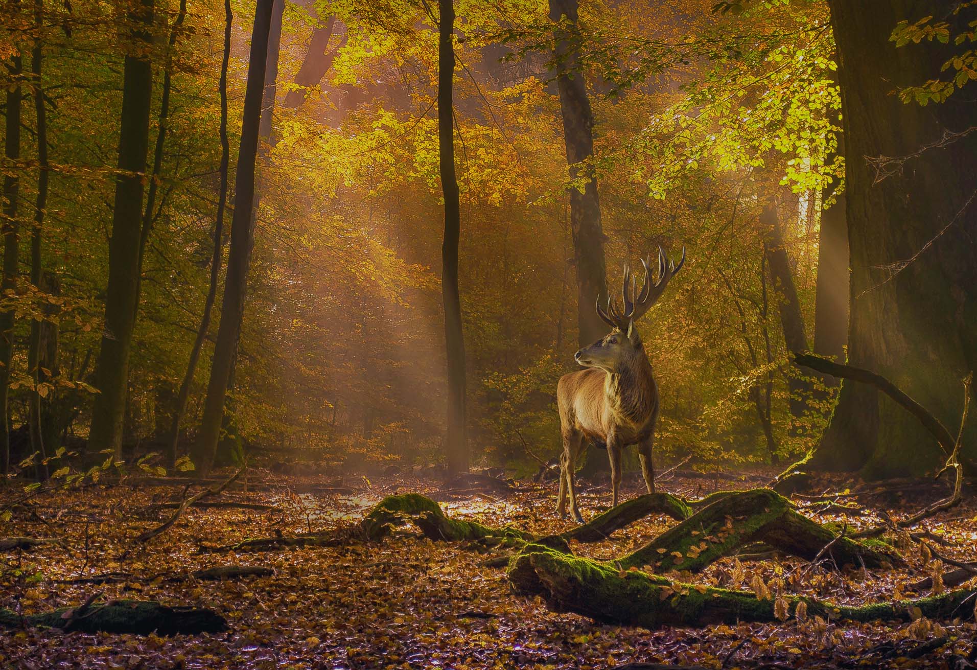 Prost Mahlzeit! – Das Buch